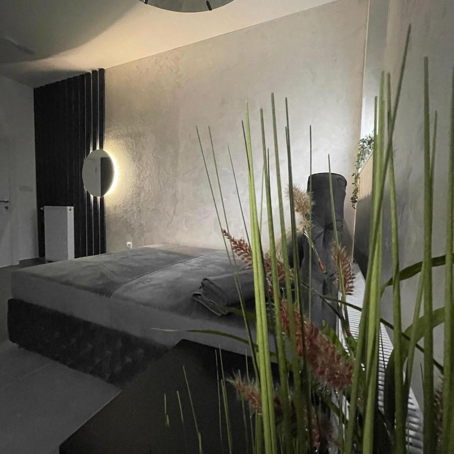 Tepic Garni Hotel Temerin Buitenkant foto